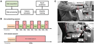 A Novel Posture for Better Differentiation Between Parkinson's Tremor and Essential Tremor